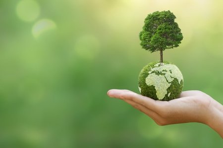 We are moving to paper free