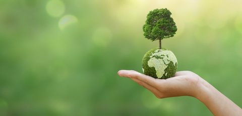 Hand holding a world with a tree growing out of it